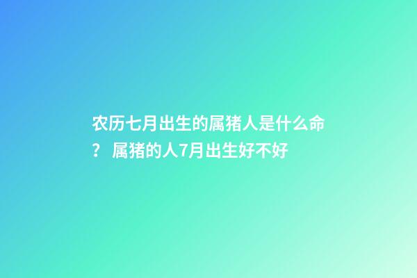 农历七月出生的属猪人是什么命？ 属猪的人7月出生好不好-第1张-观点-玄机派